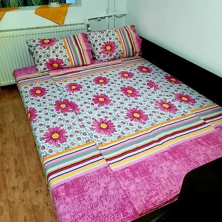 Maya Maria Timişoara